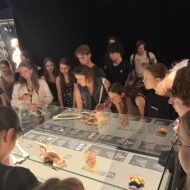 Więcej o: Klasa 1D na wystawie BODY WORLDS PULSE